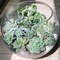 11PCS Mini Artificial Succulent Picks – Flocked Faux Succulents Assortment for Mother’s Day Card Making, DIY Crafts, Wreaths, Terrariums & Home Decor